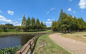 打上川治水緑地