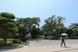 松本城公園