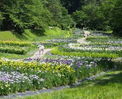 五十公野公園