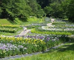 五十公野公園