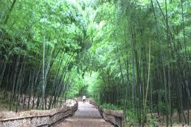 大高緑地