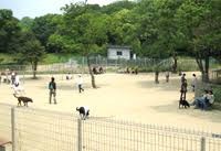 大高緑地
