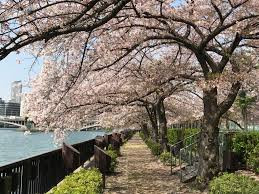 南天満公園