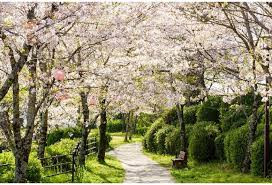 菊池公園