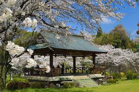 菊池公園