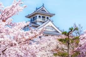 豊公園