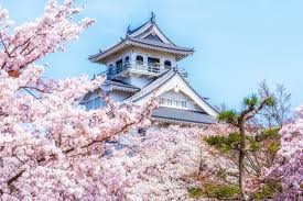 豊公園
