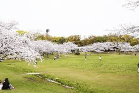福岡県営春日公園