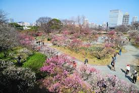 舞鶴公園