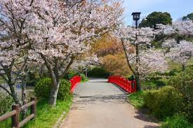 甘木公園