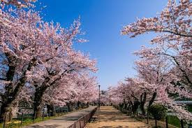 臥竜公園