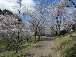 田代公園
