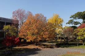 佐賀城公園