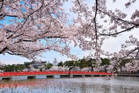 高田城址公園