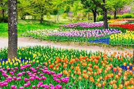 国営アルプスあづみの公園(堀金・穂高地区)