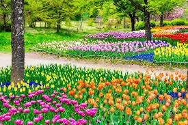 国営アルプスあづみの公園(堀金・穂高地区)