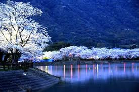 立岡自然公園