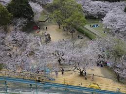 立岡自然公園
