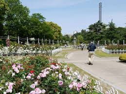 鶴舞公園