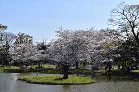 住吉公園