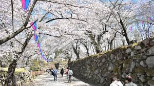 小諸城址 懐古園