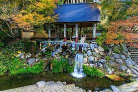 竹の古場公園
