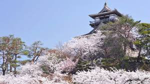 丸岡城(霞ヶ城公園)