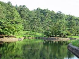 悠久山公園