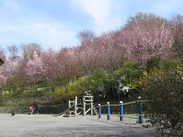 玄蕃山公園