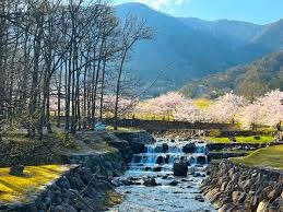 マキノ高原