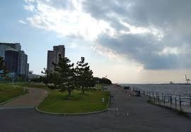 シーサイド コスモ(コスモスクエア海浜緑地)