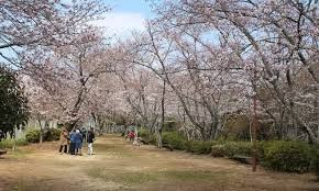 大井関公園