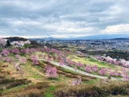 飯綱山公園