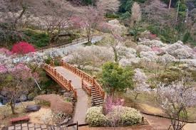 姫の沢公園
