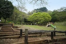 姫の沢公園