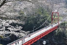桜淵公園