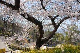 枚岡公園