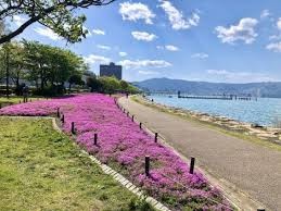 大津湖岸なぎさ公園