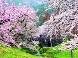 霞間ヶ渓公園