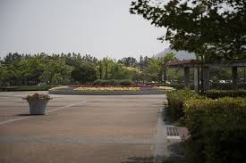 今津運動公園