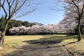 水上村カントリーパーク(ほいほい広場)