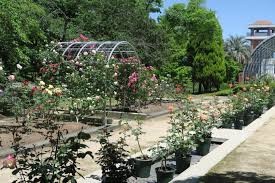 花畑園芸公園