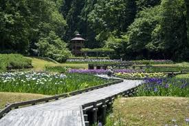 しらさぎ森林公園