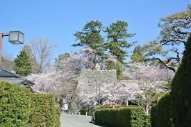 松阪公園(松坂城跡)