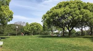尼崎市農業公園