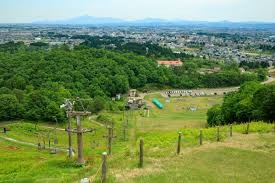 金谷山公園