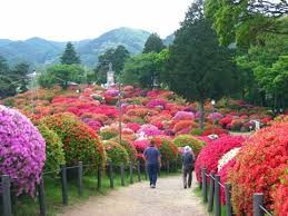 鶴峯公園