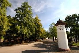 皇子山総合運動公園