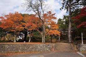 寺家公園