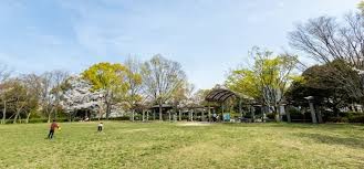 枚方市 王仁公園